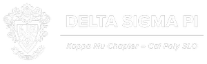 DSP Logo
