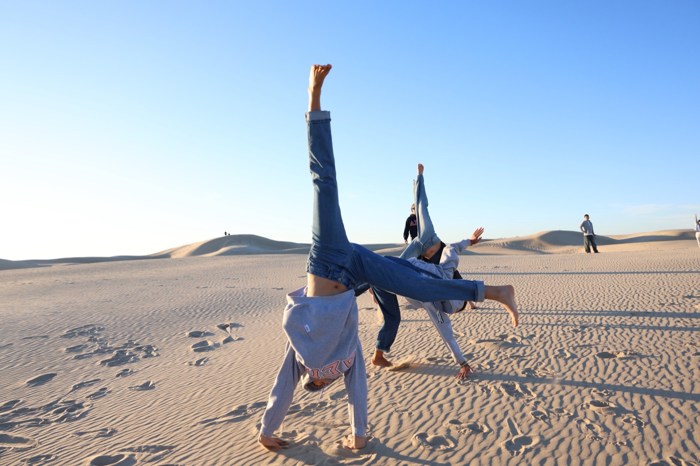 Brothers at the dunes